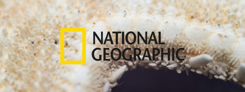 National geographic