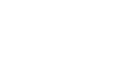 CSS FOX