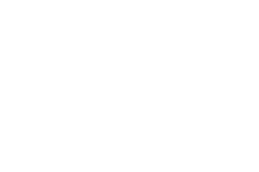 CSS Light